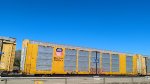 UP 10750 (Body) TTGX 699325 (Flat)